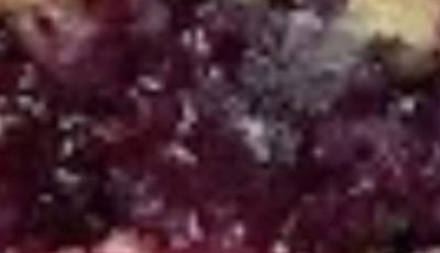 Old-Fashioned Blackberry Cobbler