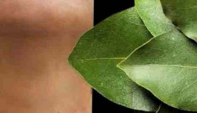 Bay Leaf: The Natural Wrinkle Eraser for Ageless Beauty!