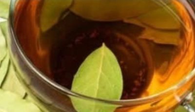Bay Leaf Tea: Benefits and How to Prepare It