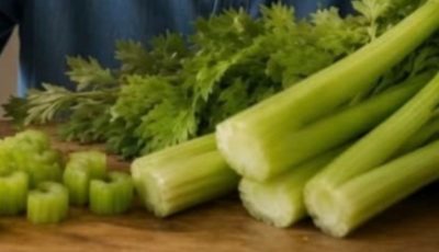 Celery Forces Your Blood, Skin, Kidneys, Liver, and Pancreas to Wake Up