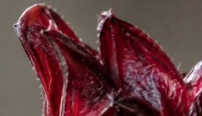 JAMAICAN FLOWER JELLY WITH CINNAMON AND CLOVES