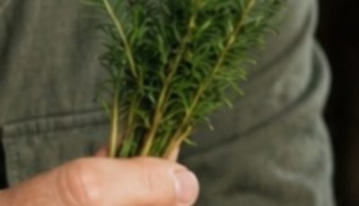 Search Results for: Best Medicinal Plants for Prostate Health: Natural Remedies That May Help Relieve Symptoms