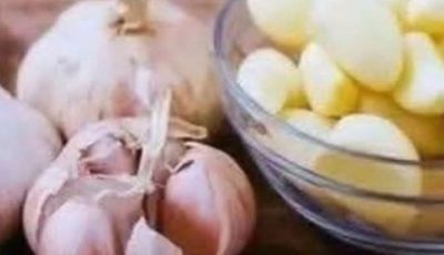 GARLIC KILLS 14 TYPES OF BACTERIA AND 13 TYPES OF INFECTIONS