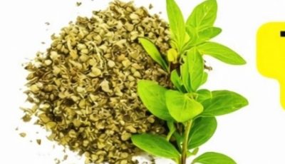 Oregano: Nature’s Most Powerful Herb and Its Health Benefits