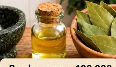 Bay leaves are 100,000 times more powerful than Botox. They eliminate wrinkles, even at age 70