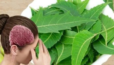 Neem Leaves for Better Health: Benefits, Uses, and How to Consume Them