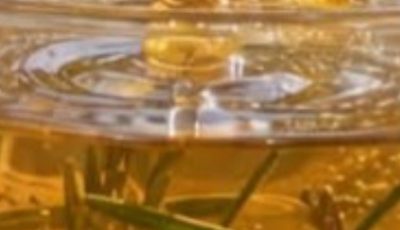 Rosemary for Muscle and Joint Pain: The Natural Herb People Call “Nature’s Morphine”