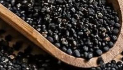 Plant in the Bible Said to Heal All Ailments
