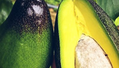Amazing Benefits of Avocado: Why This Superfood Deserves a Place in Your Daily Diet