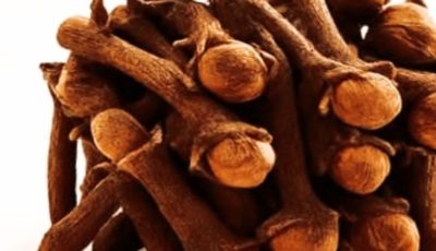 18 Powerful Ways to Use Clove Tea: Your Warm Ally for Natural Wellness Boosts?