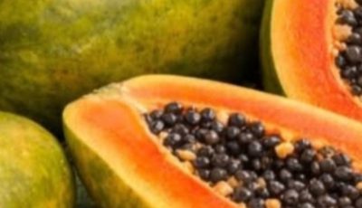Recipes with Papaya Seeds: Benefits, Uses, and Natural Preparation
