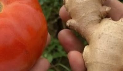 Cholesterol-Free Anti-Inflammatory Drink: A Simple Natural Recipe You’ll Love