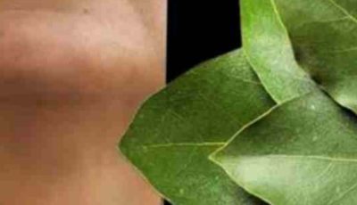 Bay Leaf: The Natural Wrinkle Eraser for Ageless Beauty!